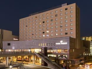 Hotel Terrace The Garden Mito Мито Экстерьер фото
